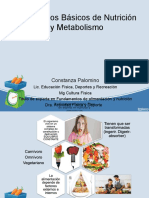 2 Conferencia Conceptos Básicos de Nutrición y Metabolismo