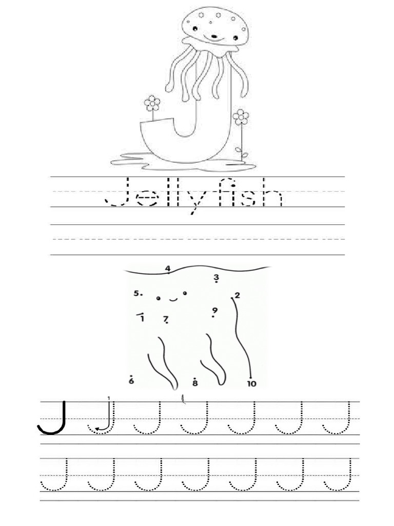 Jelly Fish | PDF