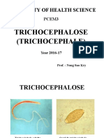 Copy of 1-Trichocephalose.pptx