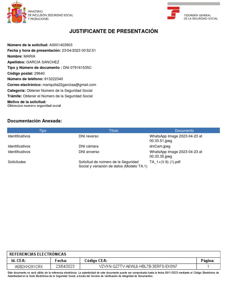 Justificante de Presentación SS | PDF
