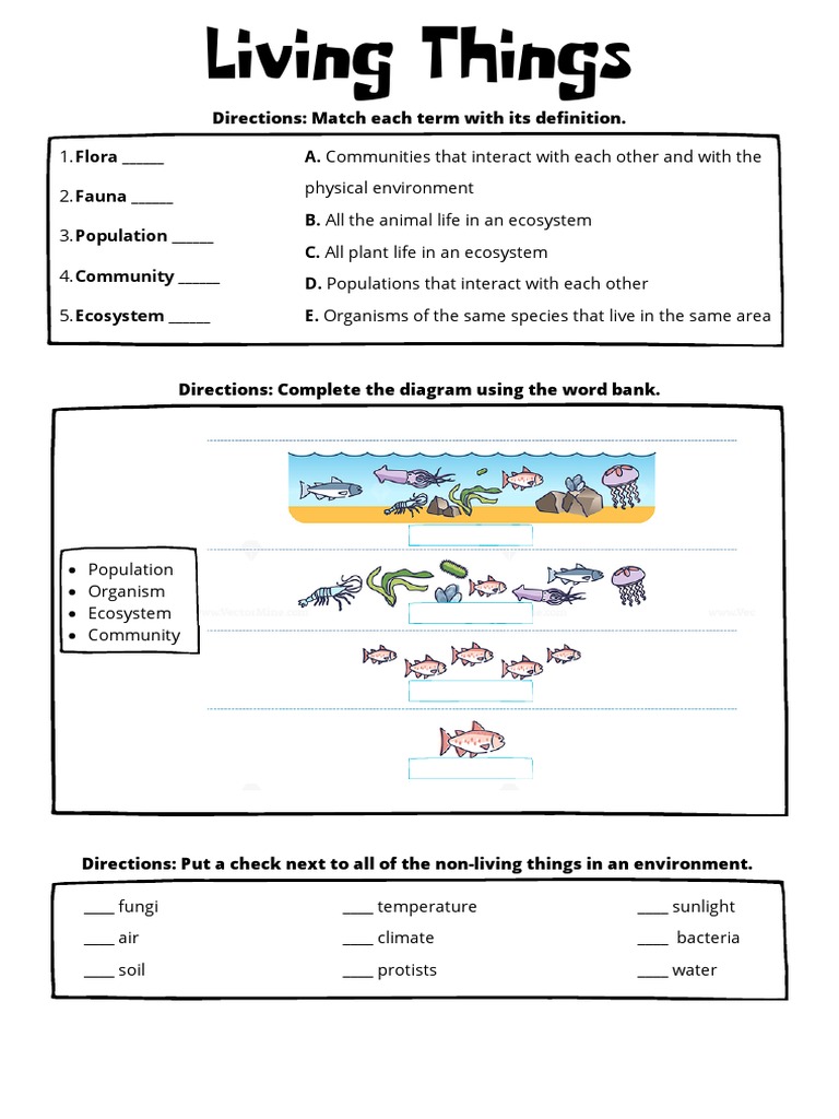 ecosystems-worksheet-pdf-ecosystem-food-web