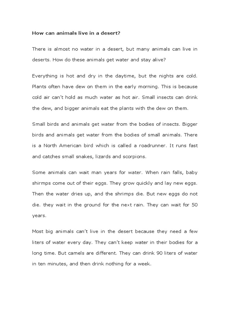 How can animals live in a desert pdf
