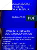 Trauma Med Spinalis