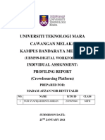 Assignment Profiling Report Ubm599