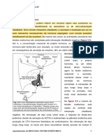 BNE - 10 Aula - O Sistema Neuro-Endócrino II