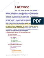 BNE - 6 Aula - Organização Geral Do Sistema Nervoso I