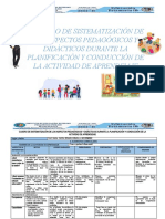 Cuadro de Sistematización Pracccc