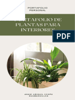 Portafolio de Plantas de Interior