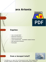 Tara Artenia Proiect