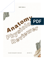 Circulatory System Reviewer - BAYLON
