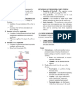 Respiratory System BAYLON