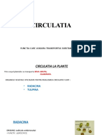 Circulatia La Plante