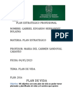 Plan Estrategico Profesional