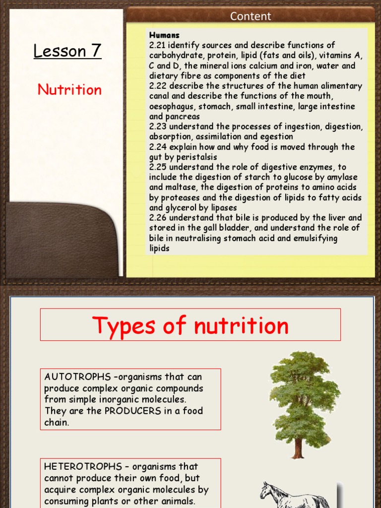 Animal Nutrition PDF