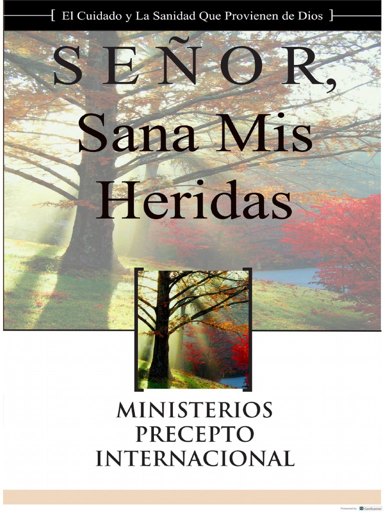 Señor - Señor Sana Mis Heridas Primera Lección | PDF