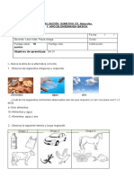 Evaluacion Sumativa de Ciencias Naturales