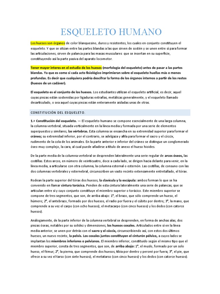 Esqueleto Humano Pdf Esqueleto Hueso