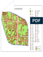 Les Salines Endemic Garden - Planting Layout