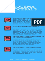 Esquema Procesal