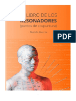 El Libro de Los Resonadores PDF