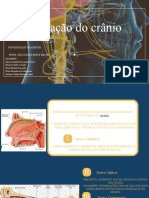 Seminário Inervação Do Cranio