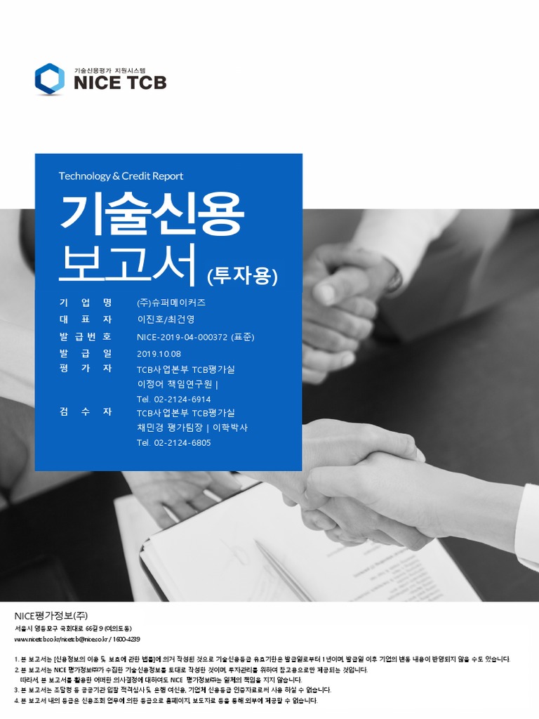 Technology credit rating review report pdf