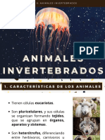 TEMA 8 Animales Invertebrados