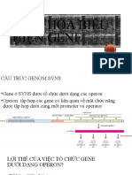 Điều hòa biểu hiện Gene l10