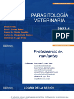 Ppt Parasitologia Veterinaria Sem-08 Sesion-02 Practica 2023-1