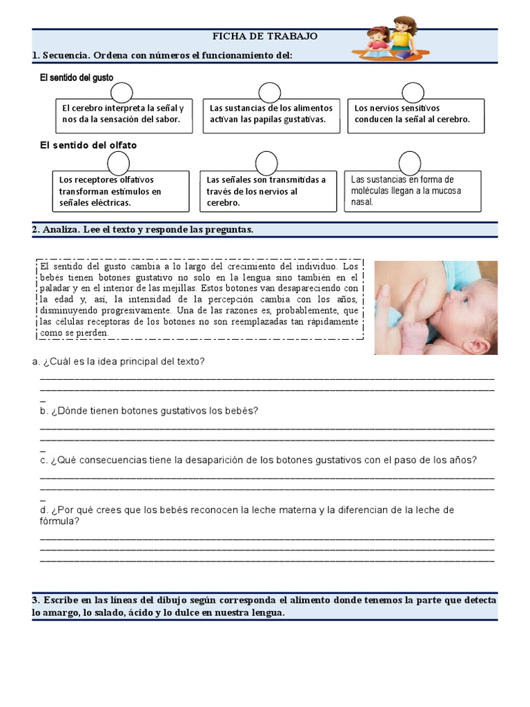 Imprimir - Ficha de Trabajo Ciencia y Tecnología | PDF