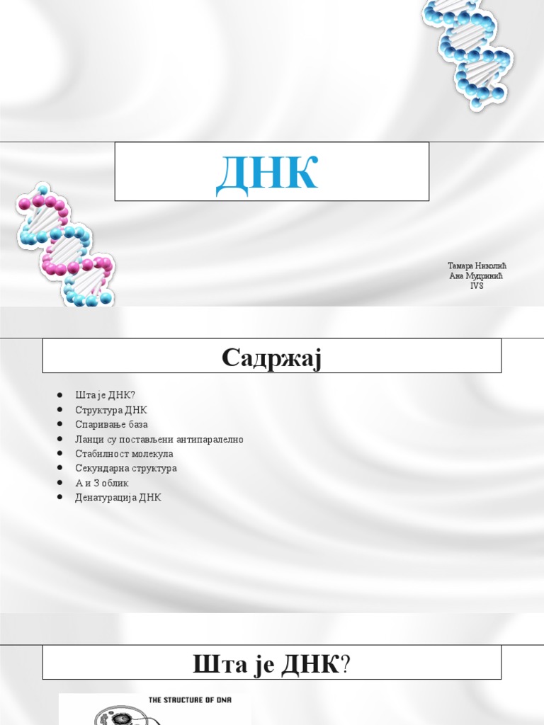 DNK | PDF