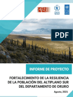 Undp Bo InformeFinal - Resiliencia Oruro