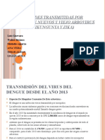 Enfermedades Transmitidas Por Vectores de Nuevos y Viejo