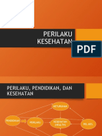 Perilaku Kesehatan