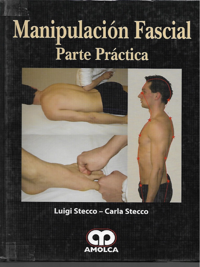 Manipulacion Fascial Practica Stecco | PDF