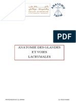 Anatomie Des Glandes Et Voies Lacrymales