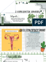 Aparato Reproductor de La Mujer