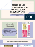 Estudio de Los Tejidos Orgánicos y Su Capacidad Regenerativa