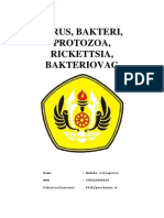 Download VirusBakteriProtozoaRickettsiaBakteriofage z by Eskasatri Oka SN65143959 doc pdf