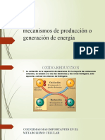 Mecanismos de Producción o Generación de Energía