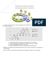 Biomol - Rattrapages 2017