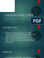 Animal Gallery