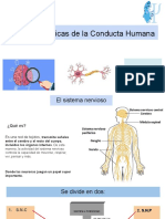 Clase Bases Biológicas de La Conducta Humana