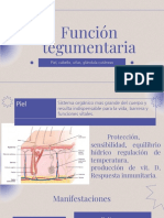 Función Tegumentaria y Problemas de Audición y Equilibrio