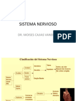 Sistema NERVIOSO Y ENDOCRIN0 1