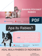 Rabies