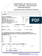 Capacidad de Carga Pca 01