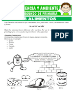 Los Alimentos y Su Clasificacion para Segundo de Primaria