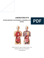 8.guía N°8 Laboratorio Sistema Nervioso Parte 1