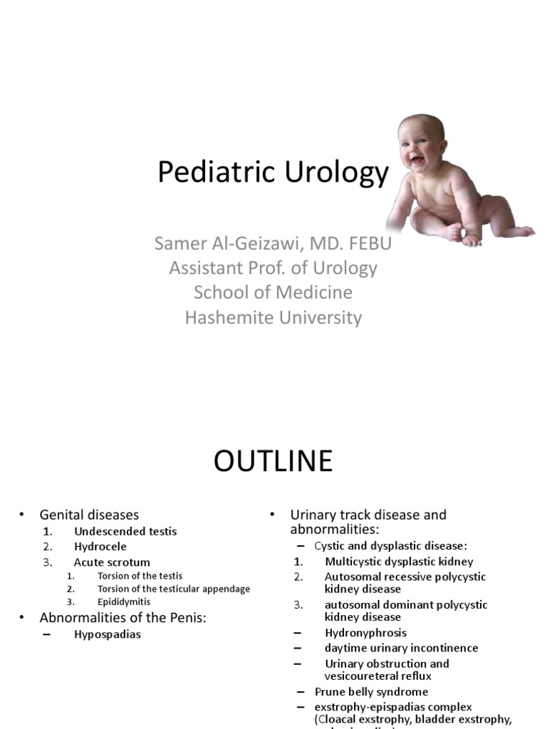 Pediatric Urology 1 Pdf Medical Specialties Clinical Medicine
